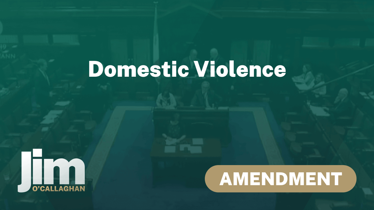 Amendment – Domestic Violence Bill 2019