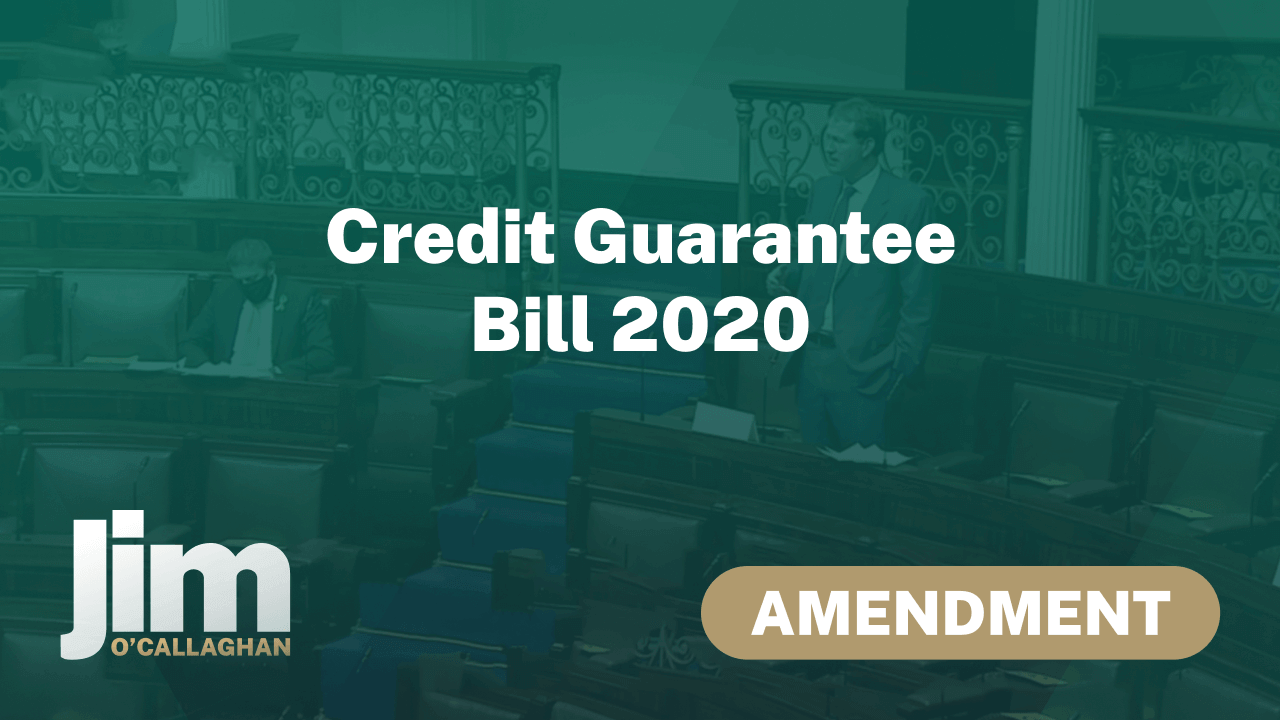 Amendment – Credit Guarantee Bill 2020